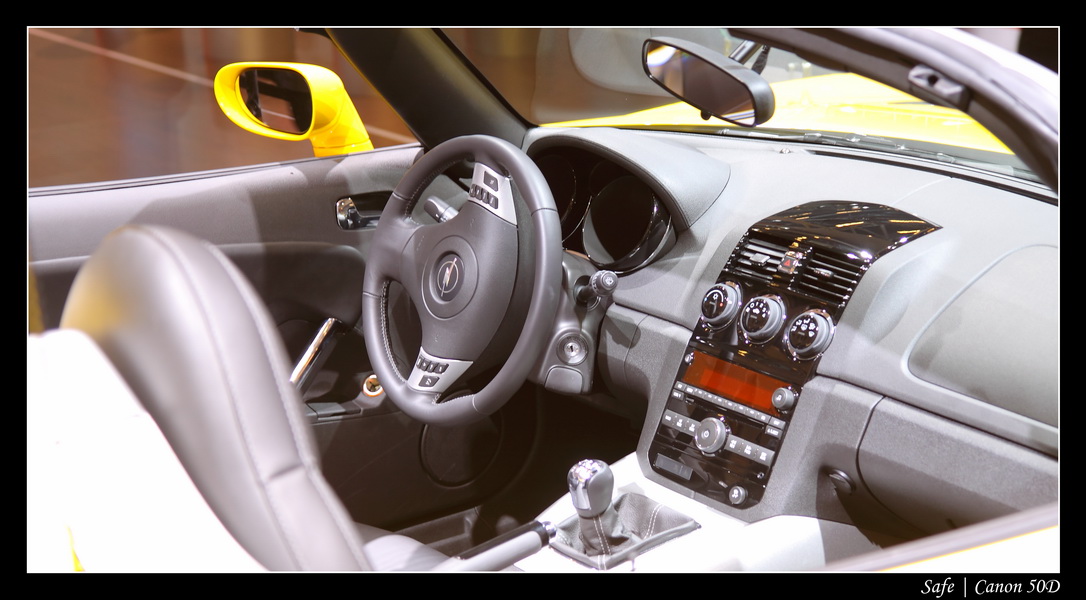 2008   10   Salon auto Paris   236